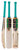 SS GG Smacker Signature - Cricket Bat - Cricket For All