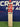 SS MASTER 9000 - English Willow Cricket BAT - Cricket For All