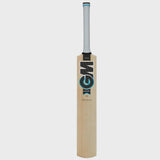 EOS GM DIAMOND 101 CRICKET BAT - JUNIOR