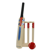 GRAY NICOLLS MINI BAT, STUMPS & BALL SET - Cricket For All
