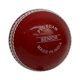 Gray-Nicolls Wonderball (Hang Sell)-Club