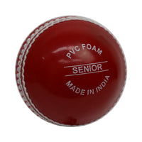 Gray-Nicolls Wonderball (Hang Sell)-Club