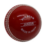 Gray-Nicolls Wonderball (Hang Sell)-Jnr