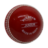 Gray-Nicolls Wonderball (Hang Sell)-Jnr