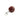 Kookaburra PVC Key Ring Ball