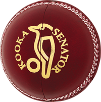 KOOKABURRA SENATOR (142g) BALL - Cricket For All