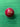 CFA BRAND CRICKET BALL - Cricket For All