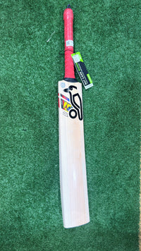 EOS SALE KOOKABURRA BEAST PRO 6.0 ENGLISH WILLOW CRICKET BAT - JUNIOR