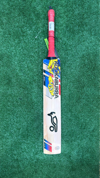 EOS SALE KOOKABURRA BEAST PRO 6.0 ENGLISH WILLOW CRICKET BAT - JUNIOR
