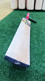 EOS SALE KOOKABURRA BEAST PRO 6.0 ENGLISH WILLOW CRICKET BAT - JUNIOR