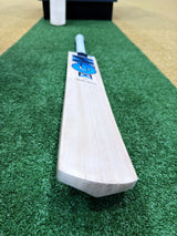 EOS GM DIAMOND 101 CRICKET BAT - JUNIOR