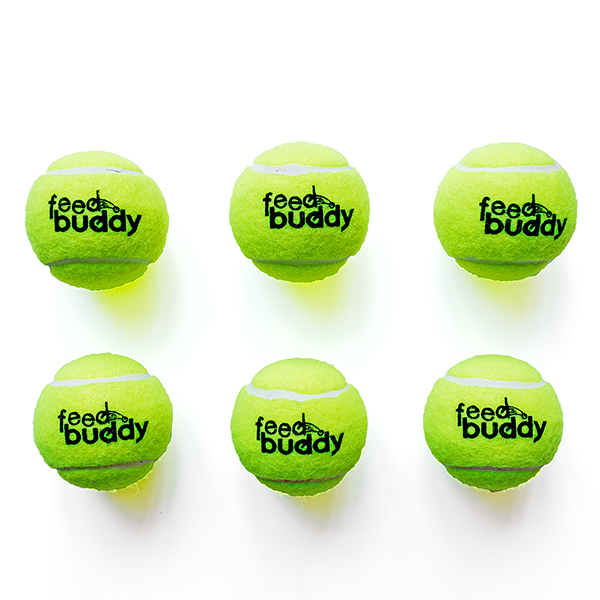 Feed Buddy Tennis Balls - 6 pack