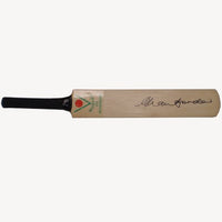 ALLIANCE MODIFIED CRICKET BAT - HARROW - PLASTIC - Cricket For All