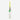 Kookaburra Full Size Autograph Bat
