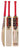 SS GG Smacker Punch - Cricket Bat - Cricket For All